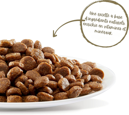 Chicken-flavored cat food for senior cats
