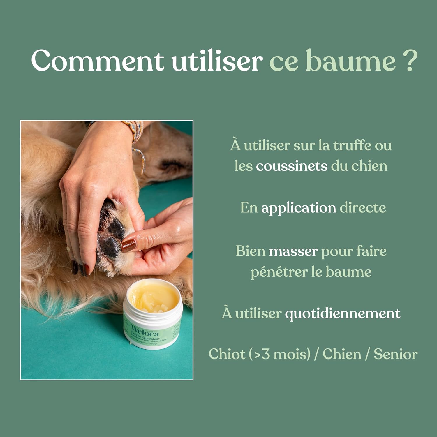 Baume réparateur naturel coussinets et truffe