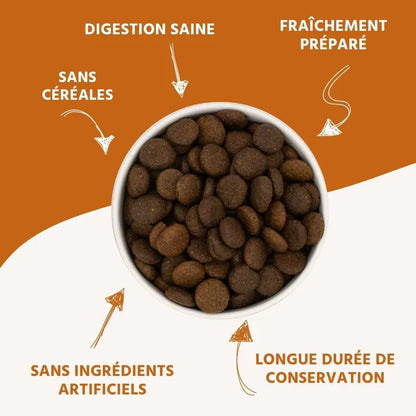 Croquettes au saumon et à la truite pour chiens adultes