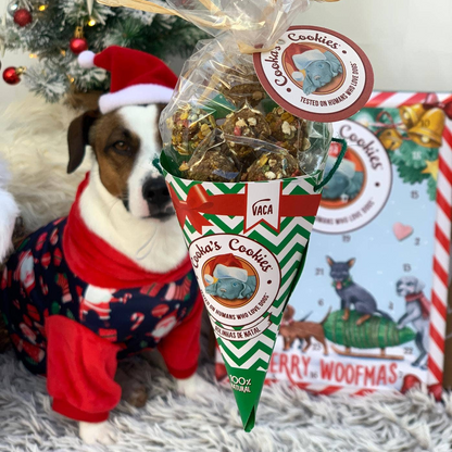 Festive cone of beef treats for dogs