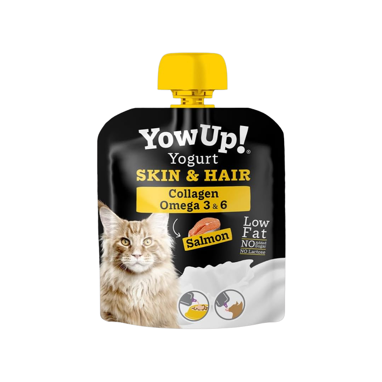Yaourt sans lactose au saumon - Peau et pelage des chats