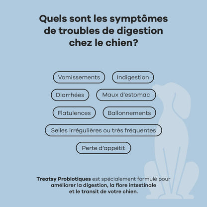 Complément alimentaire probiotiques pour chiens