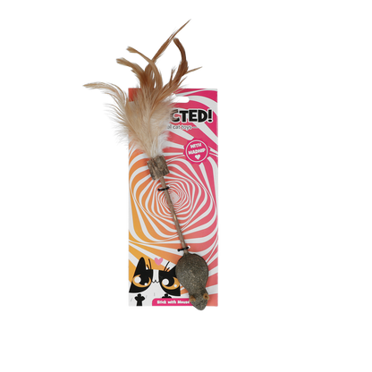 Catnip mouse and feather toy for cats