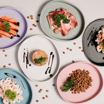 Gamelle plate en silicone