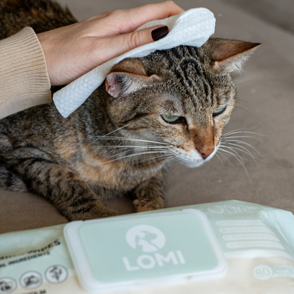 Lingettes de toilettage naturelles en bambou