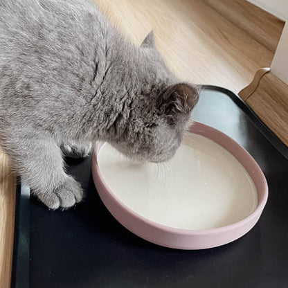 Gamelle plate en silicone