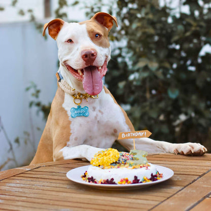 Boxed Cake - Chicken or Krill Cake Mix for Dogs