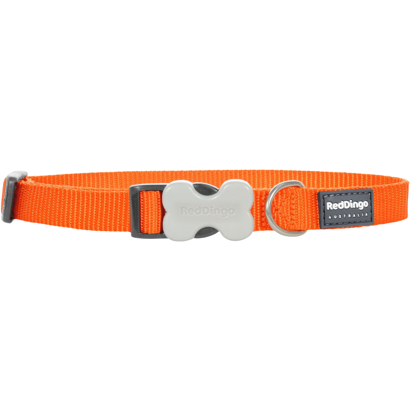 Verstellbares Nylonhalsband für Hunde