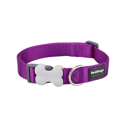 Verstellbares Nylonhalsband für Hunde