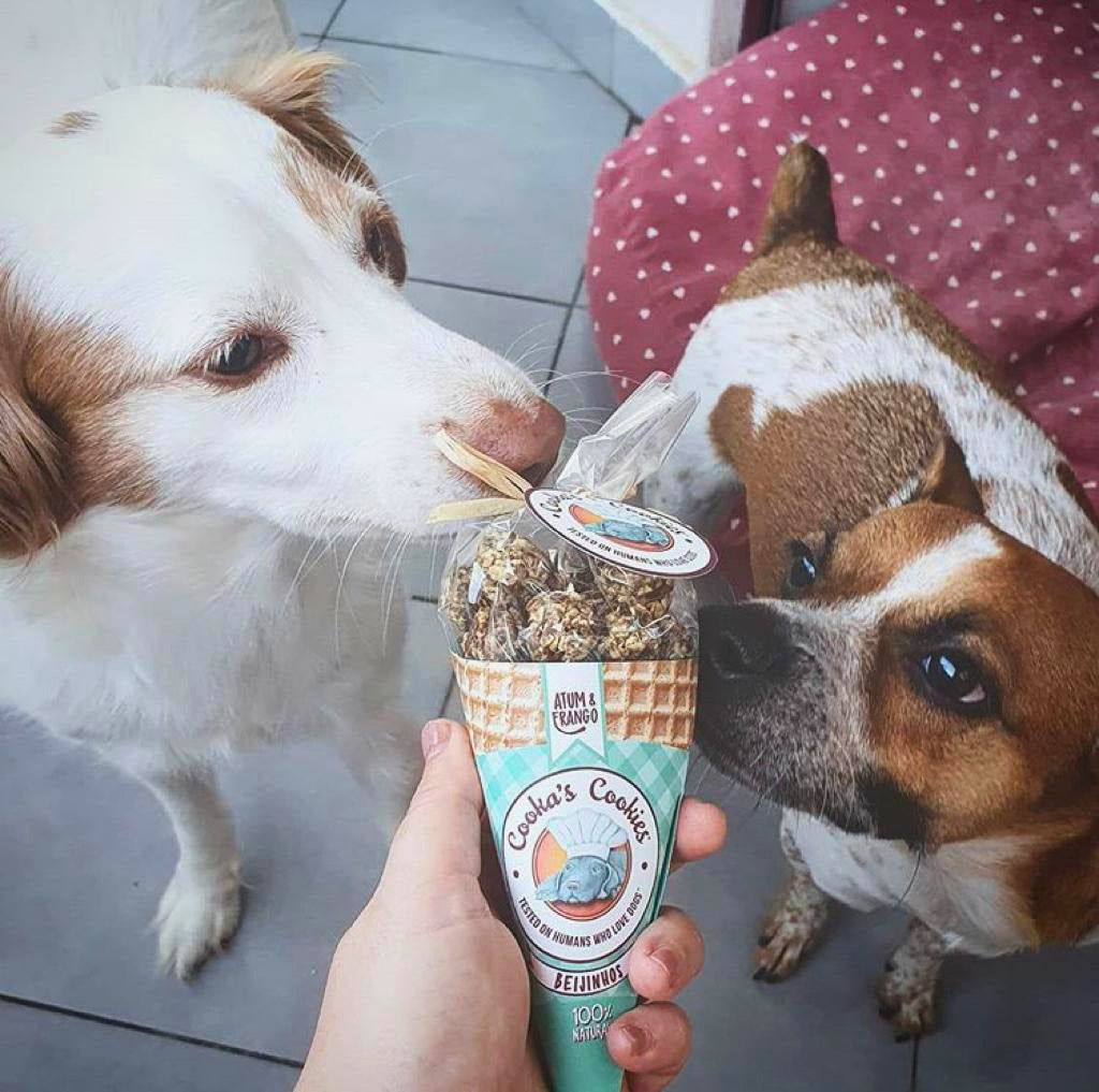 Cornet de friandises poulet et thon pour chiens