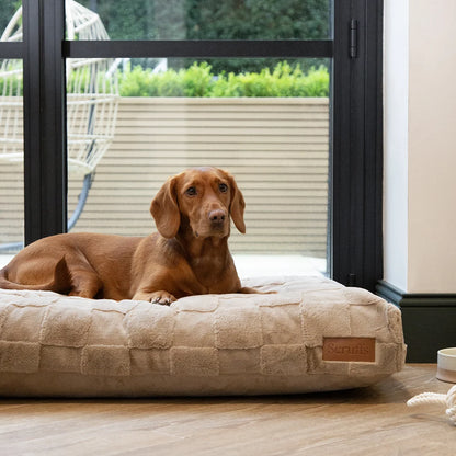 Matelas orthopédique à mémoire de forme pour chiens