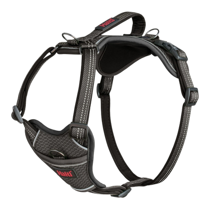 Harnais anatomique ajustable pour chiens