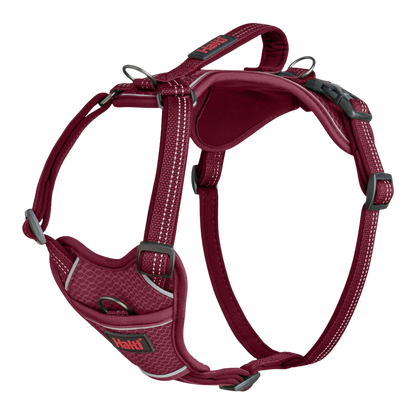 Harnais anatomique ajustable pour chiens