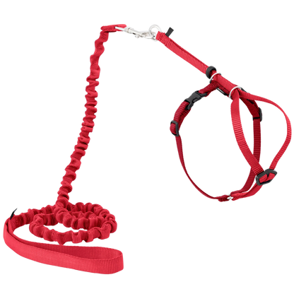Easy Walk® Geschirr und Leine für Katzen