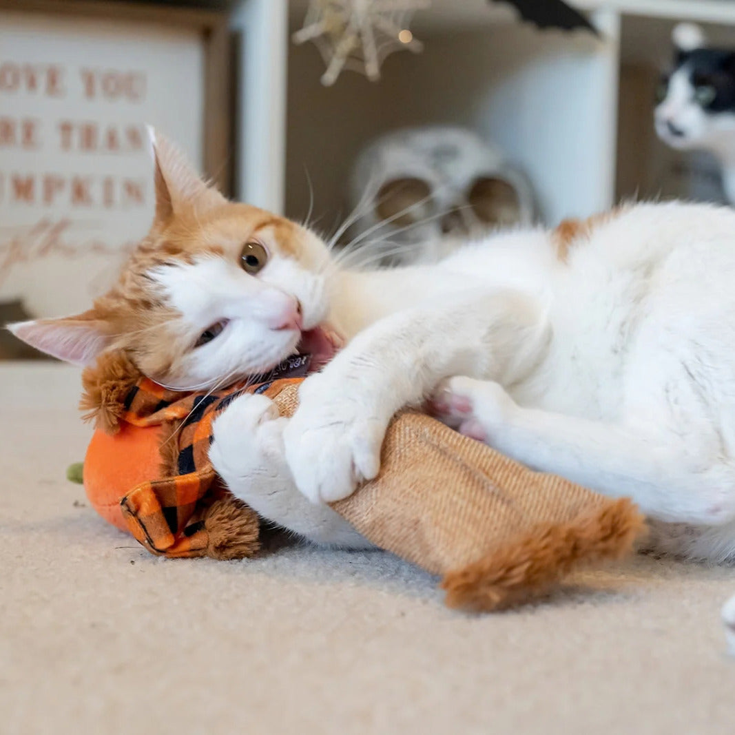 Jouet épouvantail Halloween à la cataire pour chats