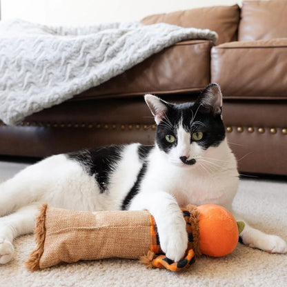 Jouet épouvantail Halloween à la cataire pour chats