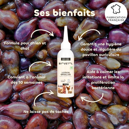 Lotion oreilles aux eaux florales bio