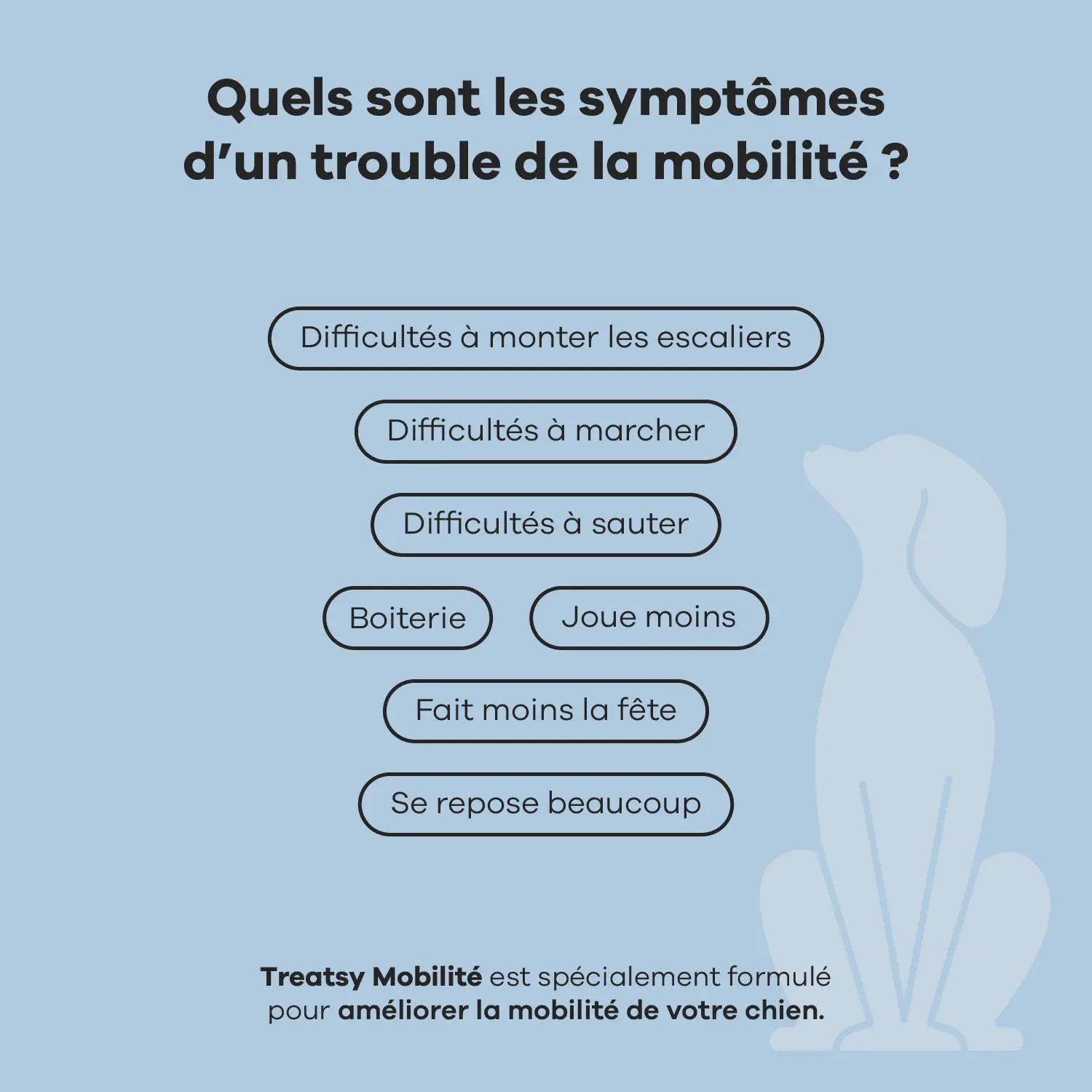 Complément alimentaire mobilité pour chiens