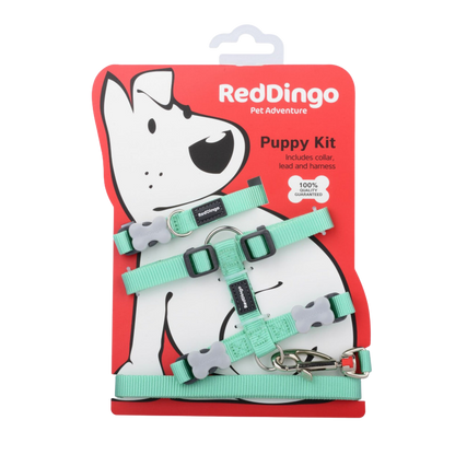 Pastel Green Puppy Collar, Harness, and Leash Set