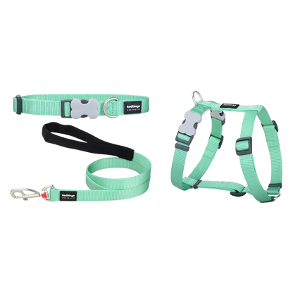 Pastel Green Puppy Collar, Harness, and Leash Set
