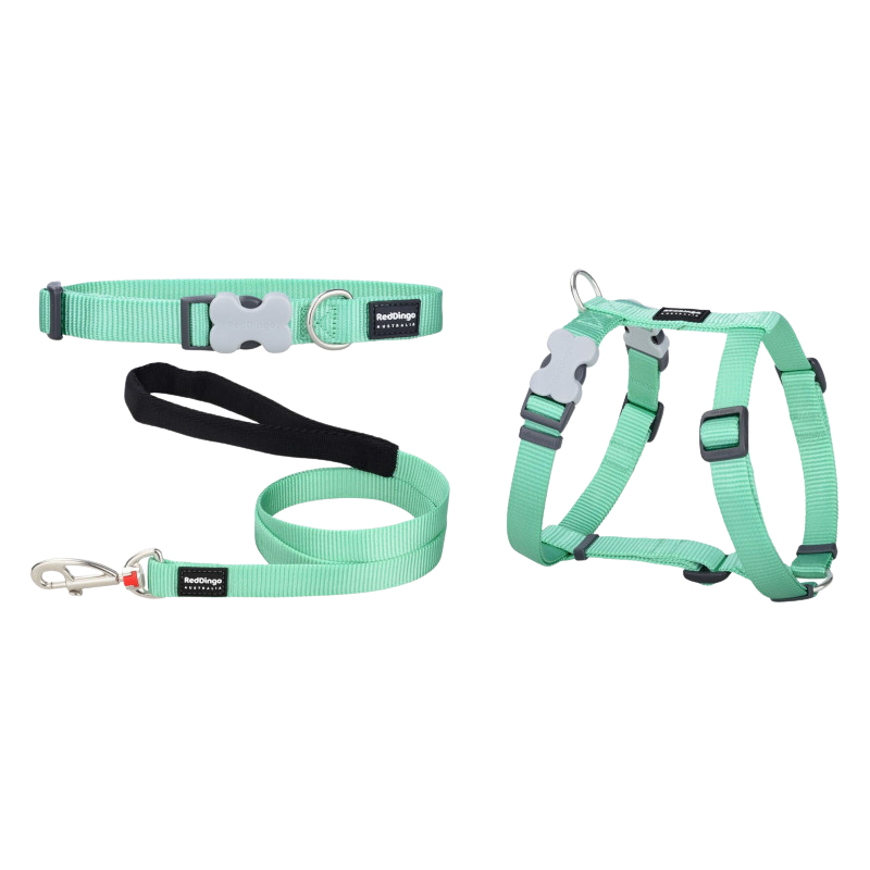 Pastel Green Puppy Collar, Harness, and Leash Set