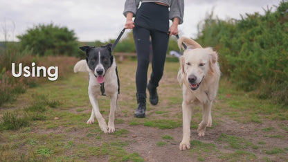 Laisse d’éducation 3 positions pour chiens