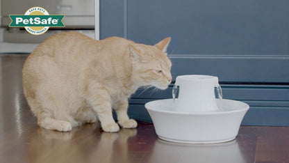 Fontaine à eau Drinkwell® Avalon en céramique 2 L pour chiens et chats