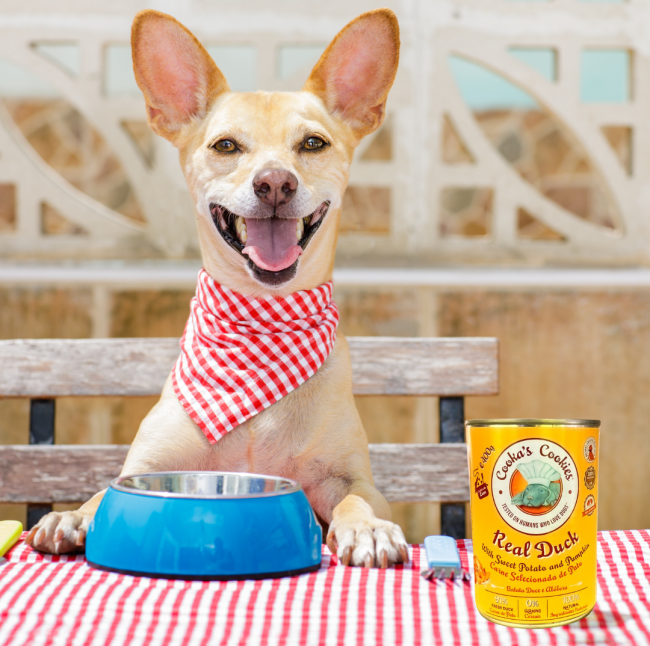 Fresh duck pâté with sweet potatoes and pumpkin