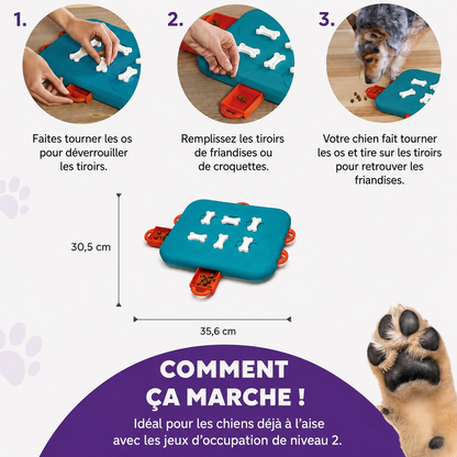 Jeu de réflexion Dog Casino niveau 3 pour chiens