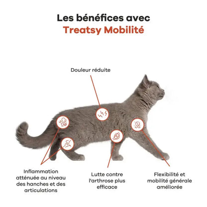 Huile nutritionnelle pour les hanches et articulations