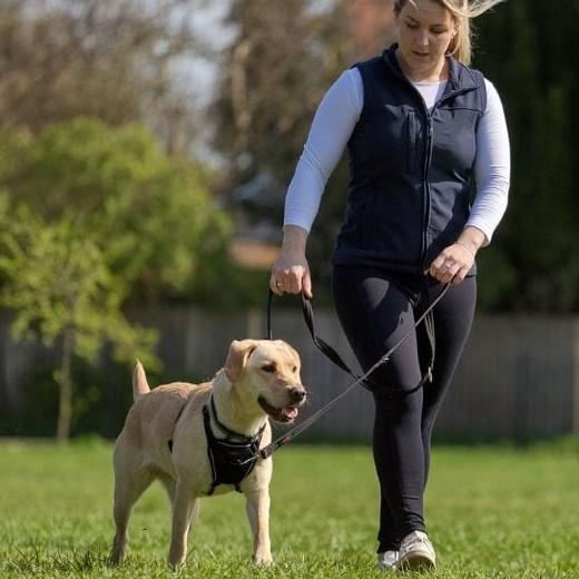 Laisse d’éducation 3 positions pour chiens