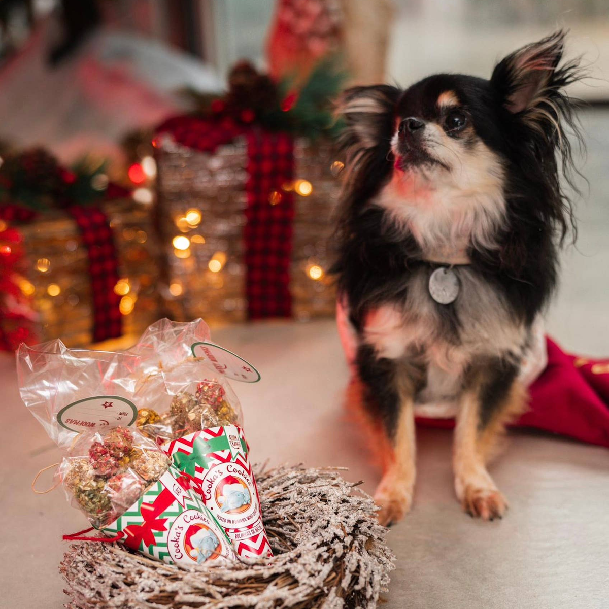 Festive cone of chicken and tuna treats for dogs