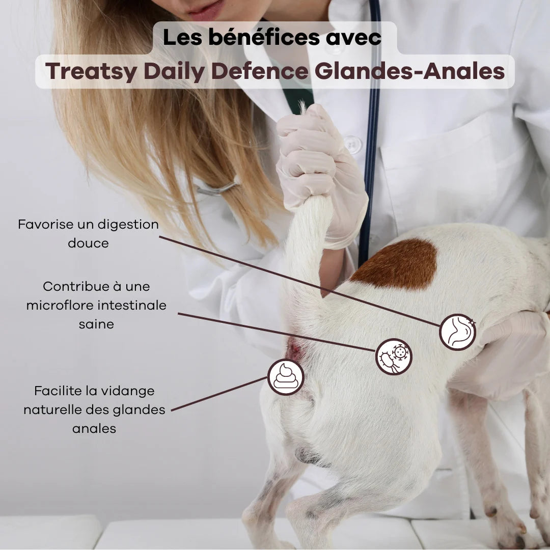 Complemento alimenticio para las glándulas anales de los perros